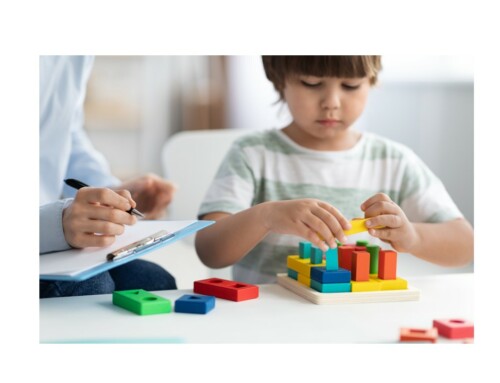 Emploi – PSYCHOLOGUE POUR L&rsquo;EQUIPE MOBILE ENFANTS ET ADOLESCENTS AU SEIN DU REALiSM (H/F/X)